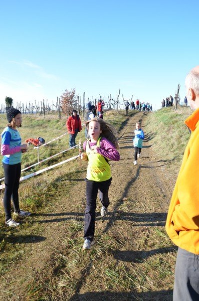 Tek Biljanski gri 269 i 052